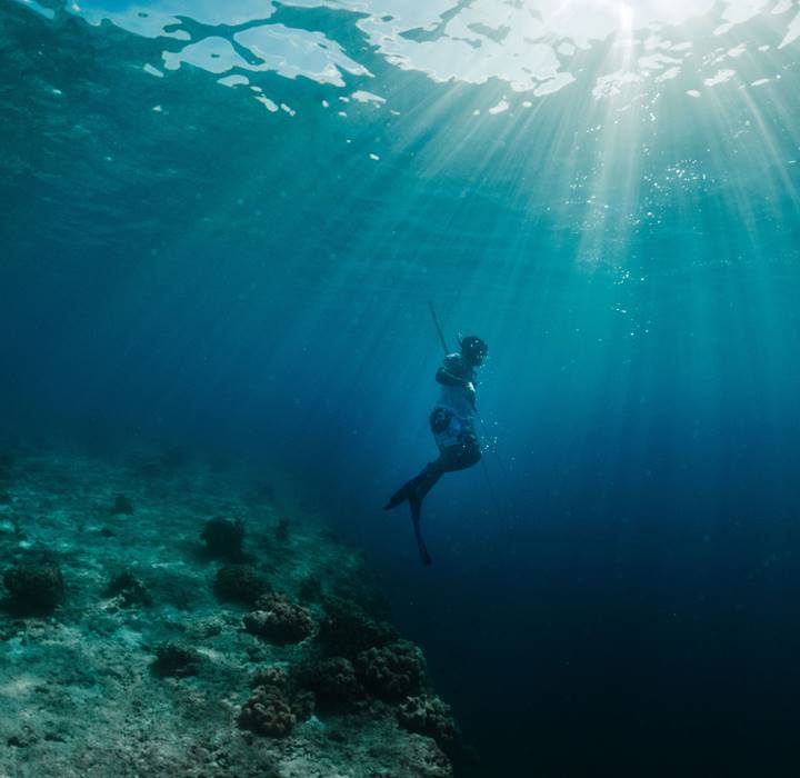 PLONGÉE EN APNÉE- PLONGÉE SOUS-MARINE