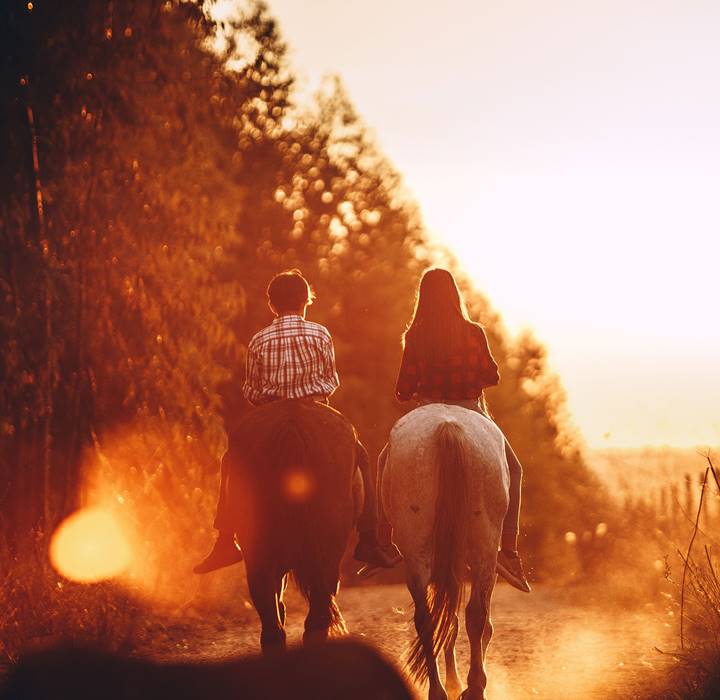 ÉQUITATION